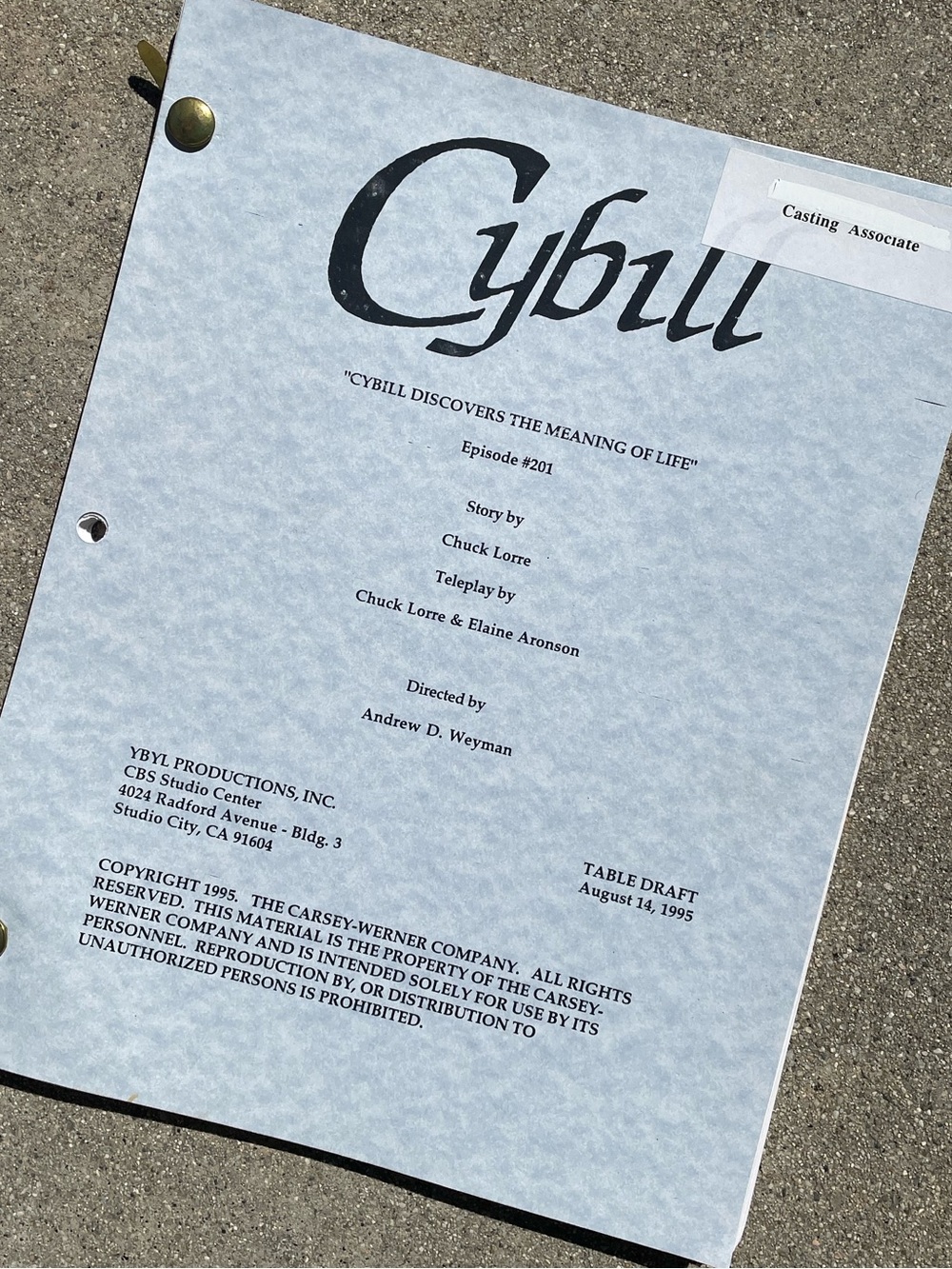 CYBILL 1995 TV Series Production Used Table Draft Script The Meaning Of Life